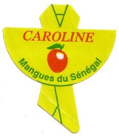 caroline mangues du senegal