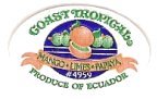 coast tropical produce of ecuador mango limes papaya #4959