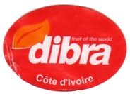 dibra fruit of the world cote d ivoire