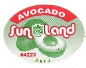 sun land avocado #4222 peru