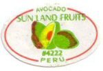 sun land fruits avocado #4222 peru