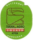 tukan agro butternut squash 4759 honduras