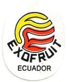 exofruit ecuador