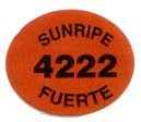 4222 sunripe   fuerte