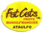 fat cats fruits mango mangues ataulfo