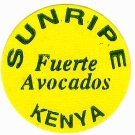 sunripe fuerte avocados kenya