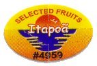 itapoa selected fruits #4959