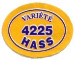variete 4225 hass