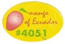 mango of ecuador #4051