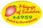mango of ecuador #4959 packed by durexporta