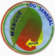 mangue du senegal avion