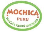 mochica peru world s finest mangoes