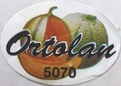 ortolan 5070