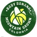 mountain grown baby bananas colombia