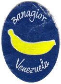 banagior venezuela
