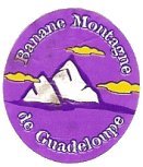 banane montagne de guadeloupe