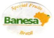 banesa special fruits brazil