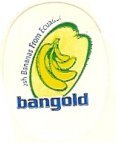 bangold the banana from ecuador