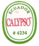 calypso ecuador #4234
