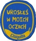 chiquita urosles w moich oczach