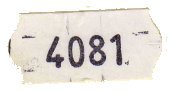 4081