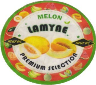 lamyae melon maroc maroc premium selection