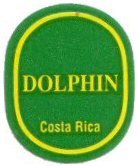 dolphin costa rica