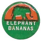 elephant bananas