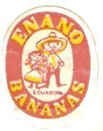 enano bananas ecuador