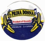 prima donna product of ecuador premium bananas