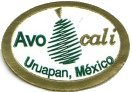 avo cali uruapan, mexico