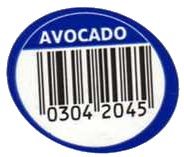 avocado 03042045