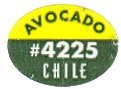 avocado #4225 chile