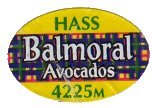 balmoral avocados hass 4225m